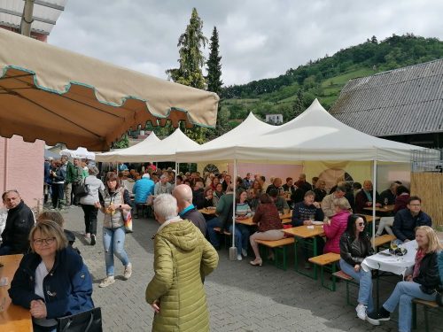 Hoffest im Weingut Freiberger 